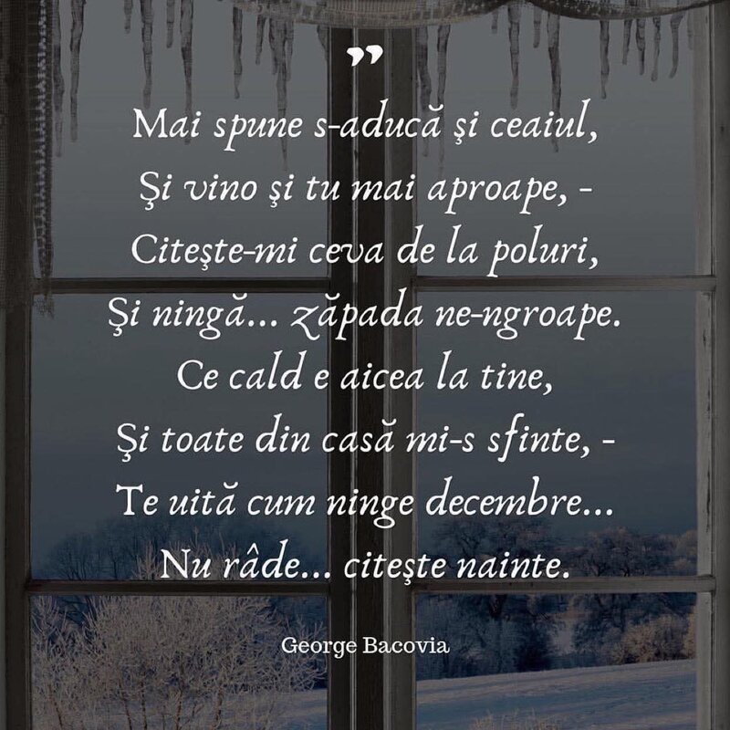 Caut partenera de suflet
